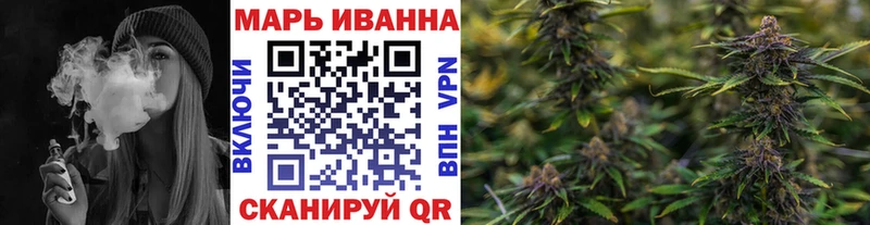 МЕФ Медынь